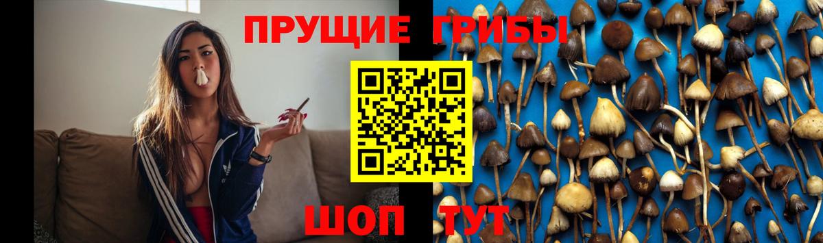 Домодедово  Галлюциногенные грибы ЛСД  Вход с VPN 